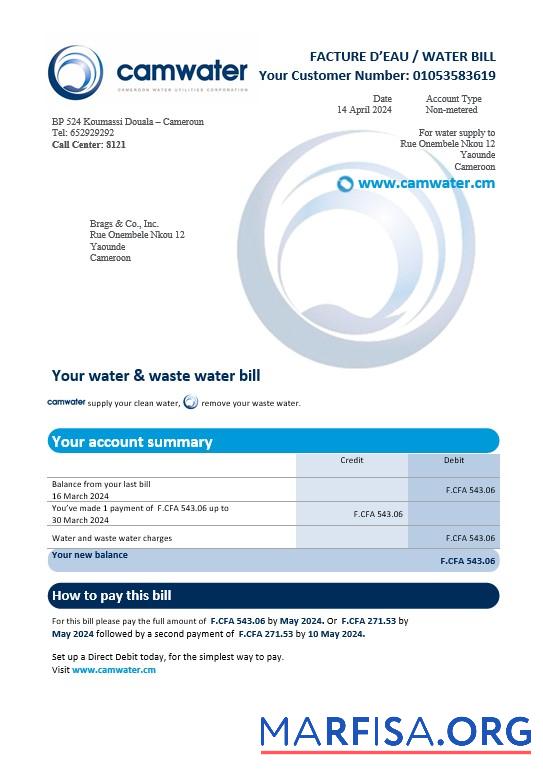 Realistic Cameroon Camwater business utility bill Word and PDF template (2).doc